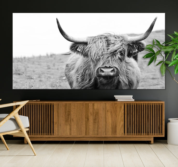 Newfoundland Cow Art Large Wall Art Canvas Print