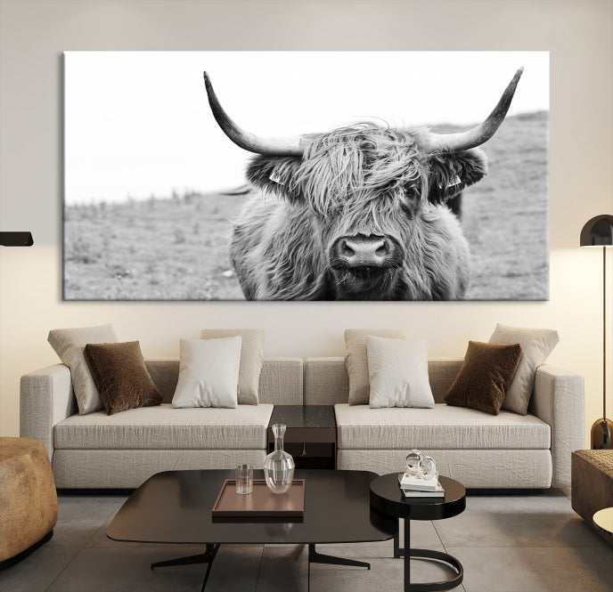 Newfoundland Cow Art Large Wall Art Canvas Print