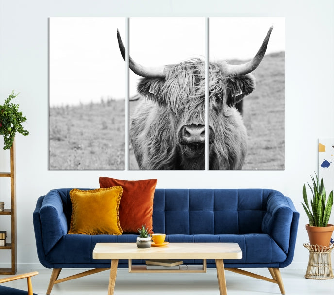 Newfoundland Cow Art Large Wall Art Canvas Print