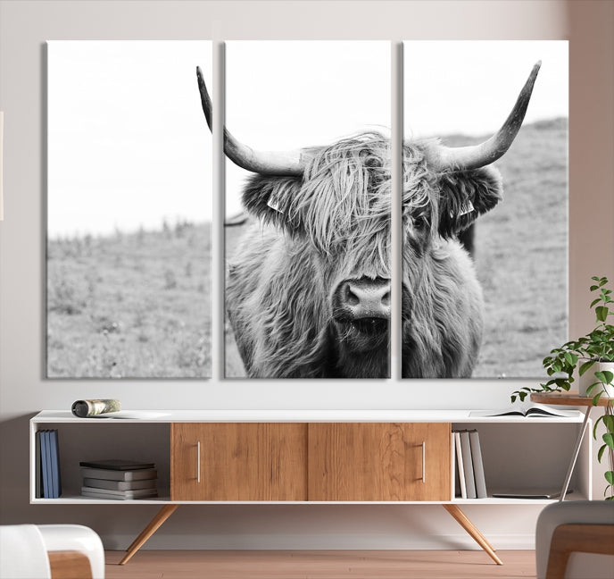 Newfoundland Cow Art Large Wall Art Canvas Print