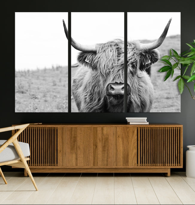 Newfoundland Cow Art Large Wall Art Canvas Print