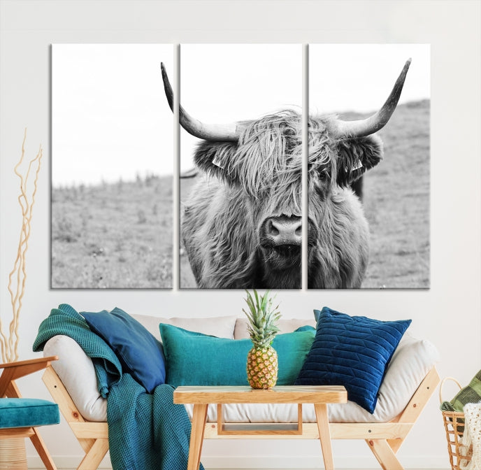 Newfoundland Cow Art Large Wall Art Canvas Print