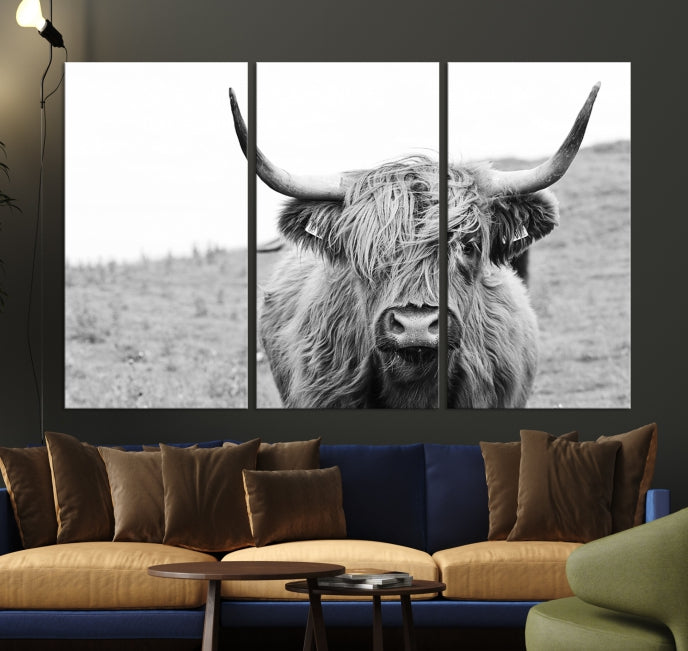 Newfoundland Cow Art Large Wall Art Canvas Print