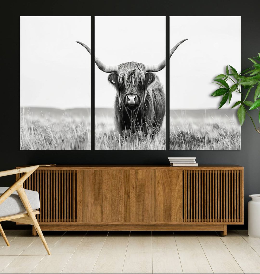 Scottish Highland Cow Wall Art Canvas Print