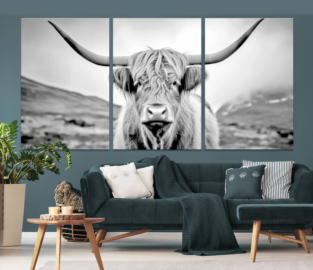 Scottish Highland Cow Wall Art Canvas Print