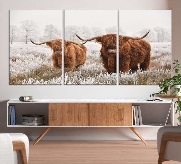 Newfoundland Cows Large Wall Art Canvas Print