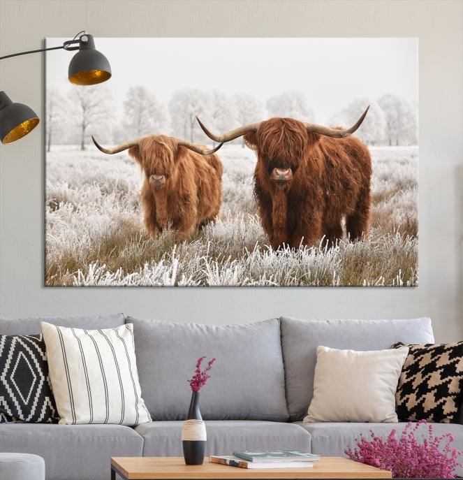 Newfoundland Cows Large Wall Art Canvas Print