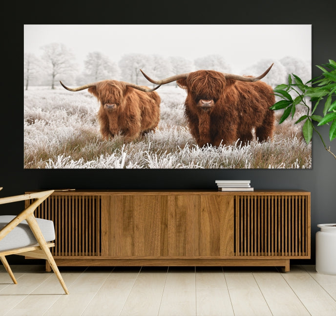 Newfoundland Cows Large Wall Art Canvas Print