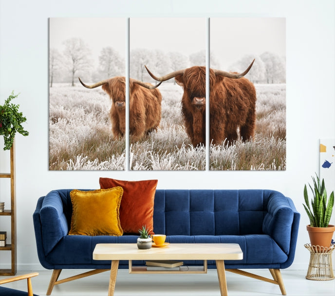 Newfoundland Cows Large Wall Art Canvas Print