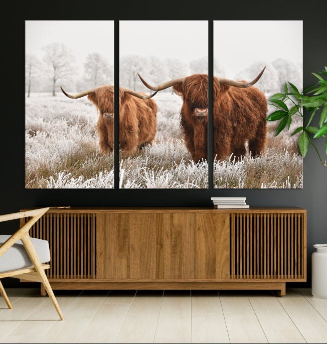 Newfoundland Cows Large Wall Art Canvas Print