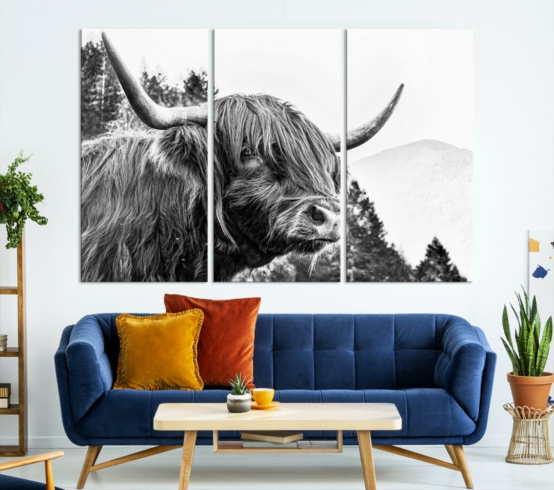 Scottish Longhorn Wall Art Canvas Print