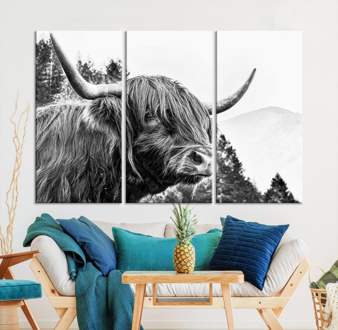 Scottish Longhorn Wall Art Canvas Print