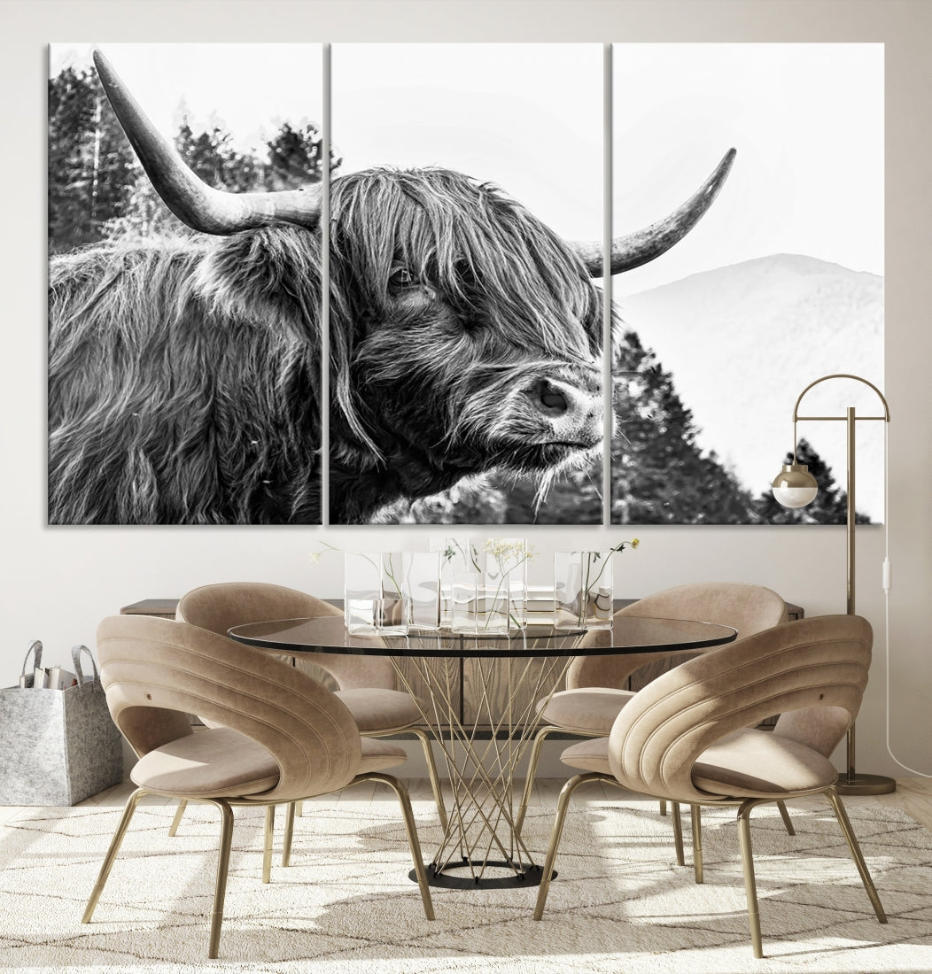 Scottish Longhorn Wall Art Canvas Print