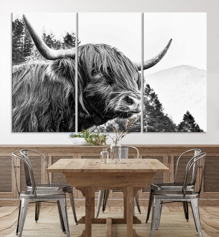 Scottish Longhorn Wall Art Canvas Print