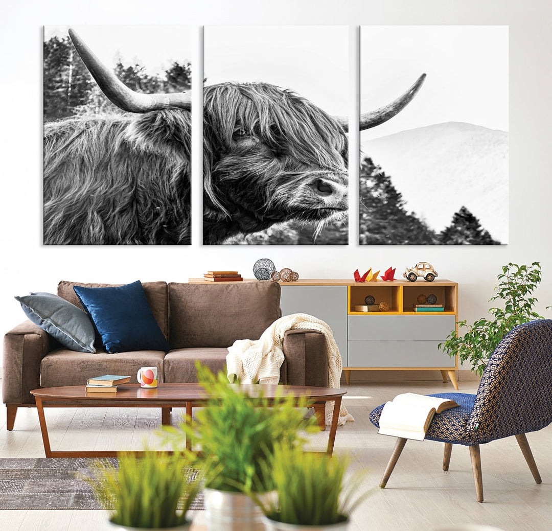 Scottish Longhorn Wall Art Canvas Print