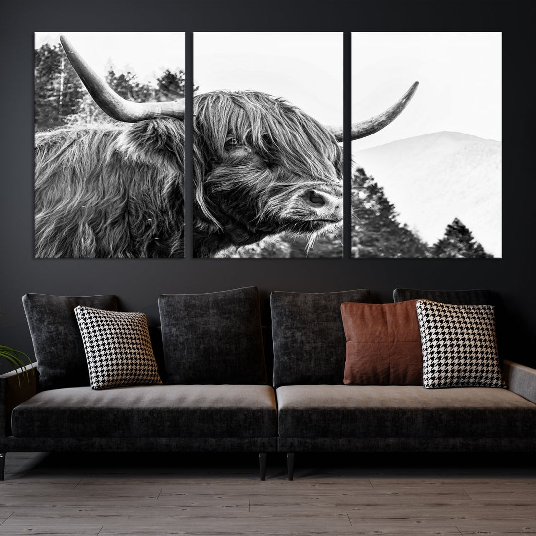 Scottish Longhorn Wall Art Canvas Print