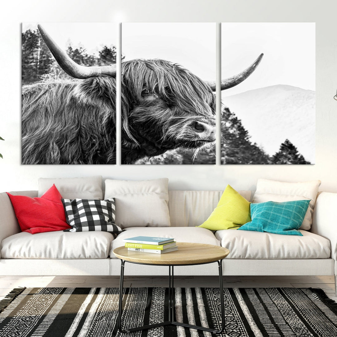 Scottish Longhorn Wall Art Canvas Print