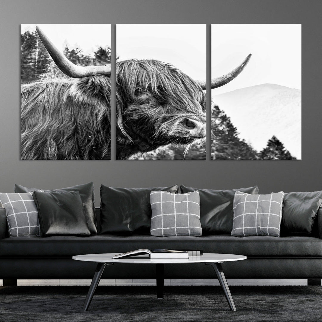 Scottish Longhorn Wall Art Canvas Print