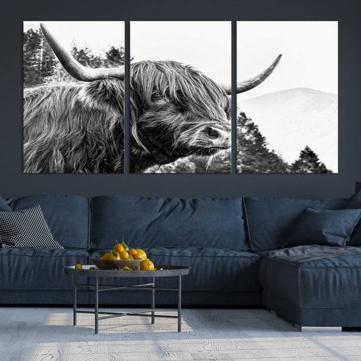 Scottish Longhorn Wall Art Canvas Print