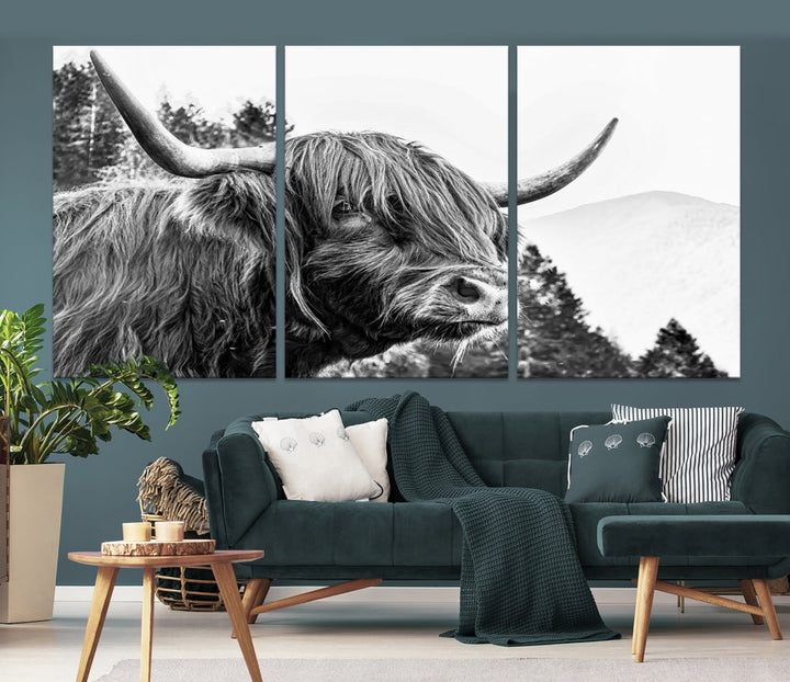 Scottish Longhorn Wall Art Canvas Print