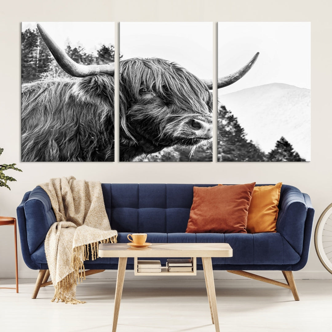 Scottish Longhorn Wall Art Canvas Print