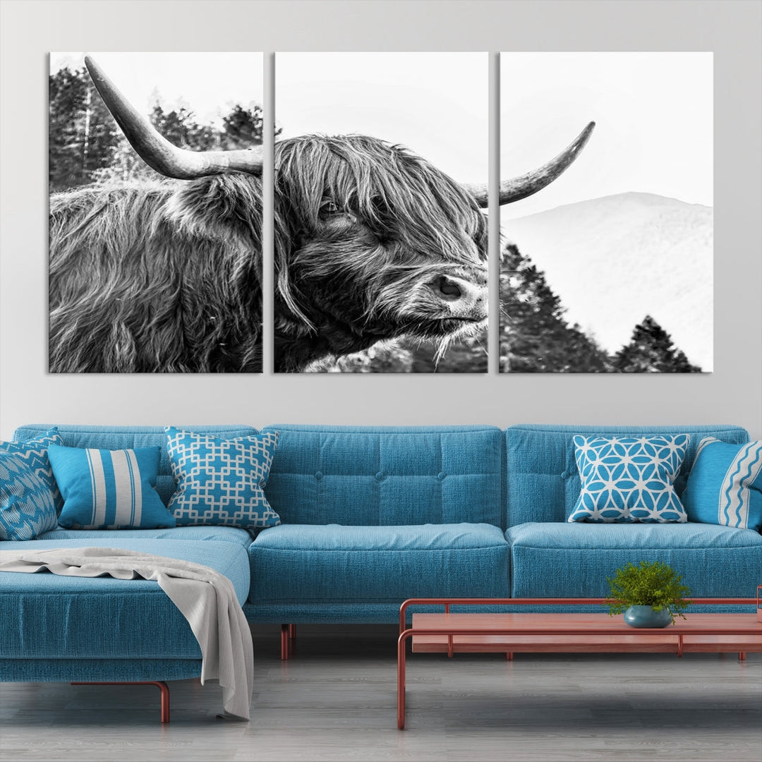 Scottish Longhorn Wall Art Canvas Print