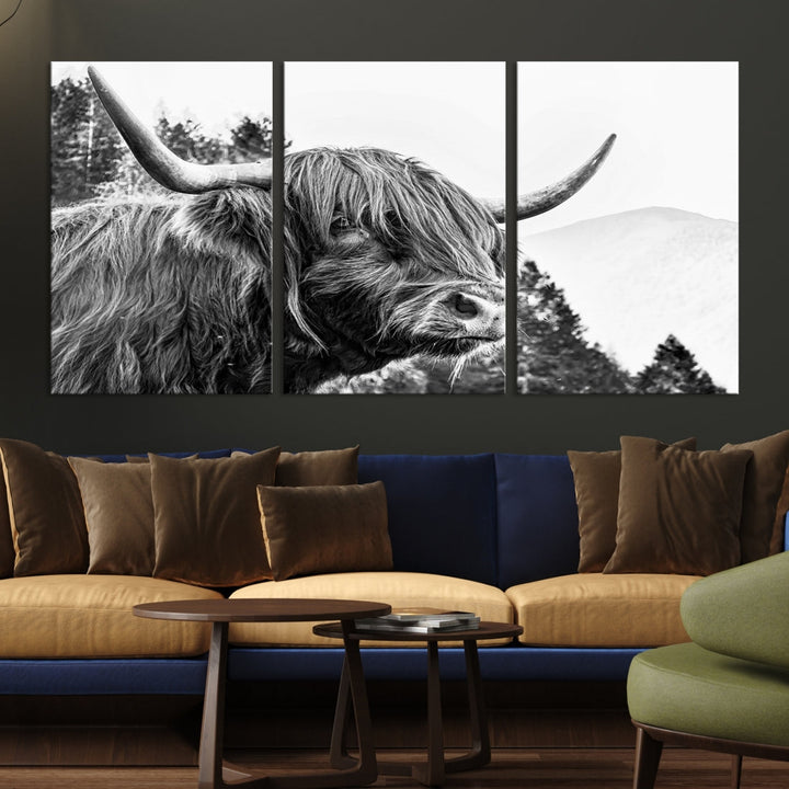 Scottish Longhorn Wall Art Canvas Print