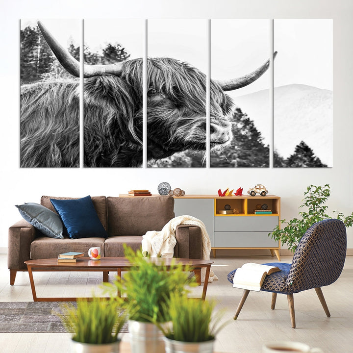 Scottish Longhorn Wall Art Canvas Print