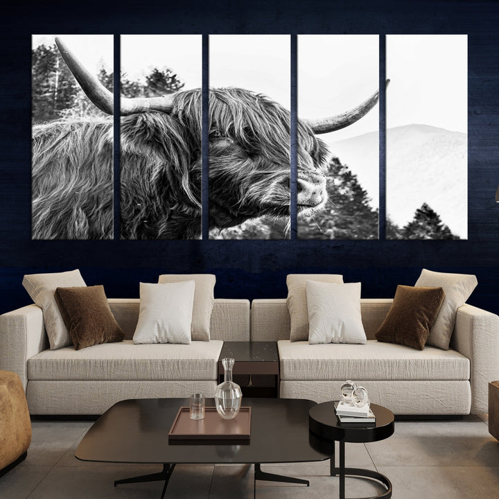 Scottish Longhorn Wall Art Canvas Print