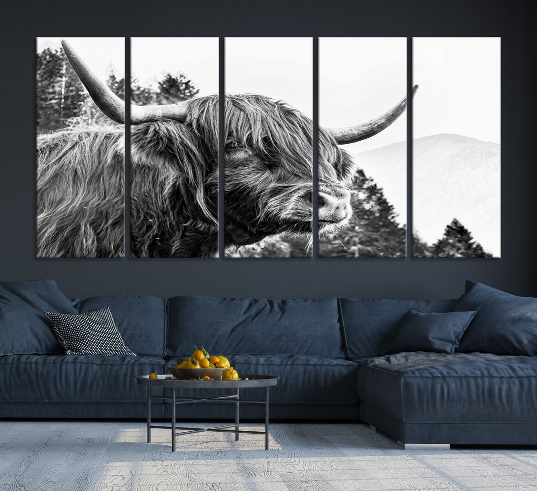 Scottish Longhorn Wall Art Canvas Print