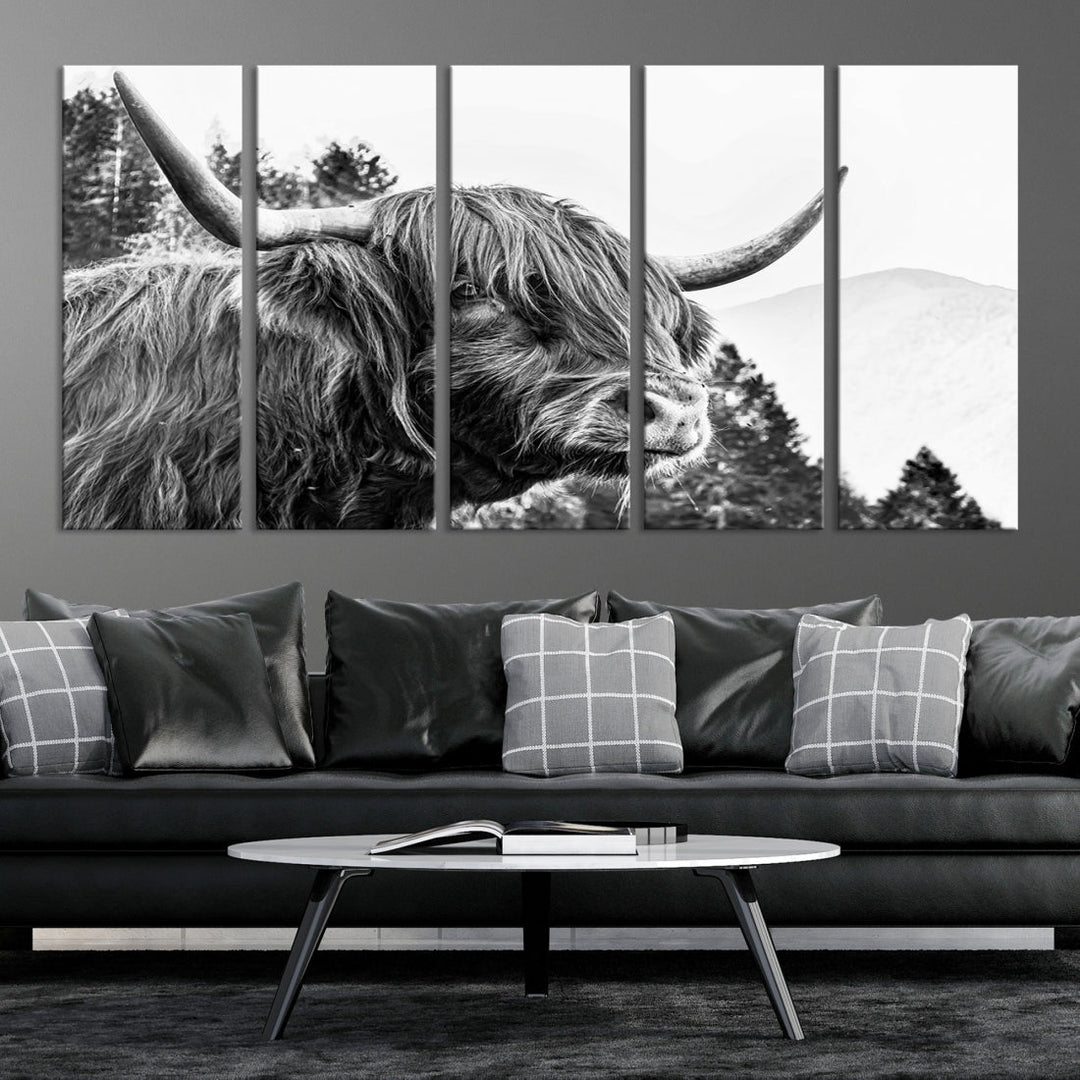 Scottish Longhorn Wall Art Canvas Print