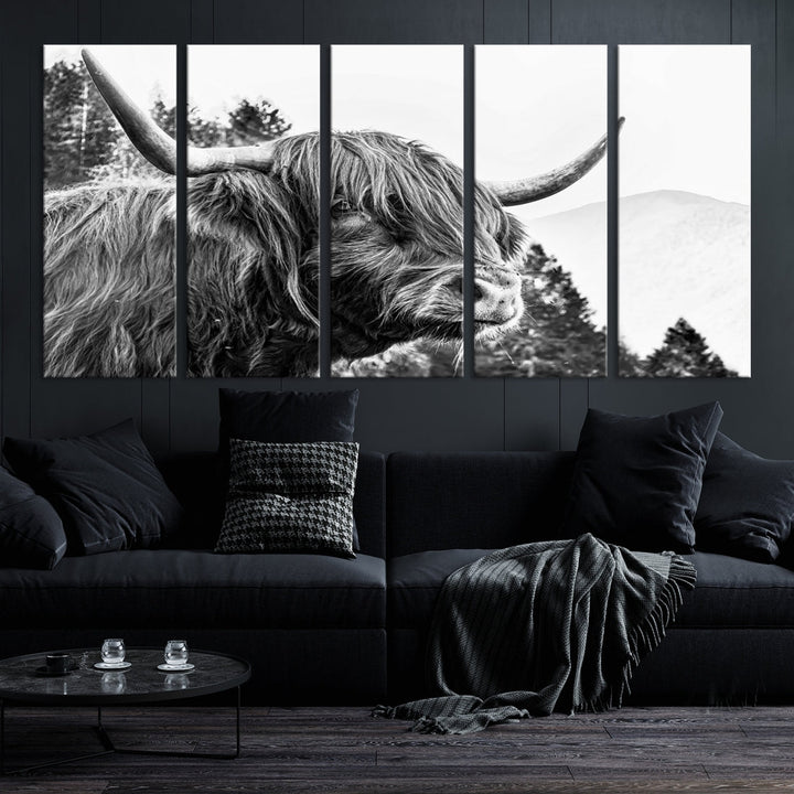 Scottish Longhorn Wall Art Canvas Print