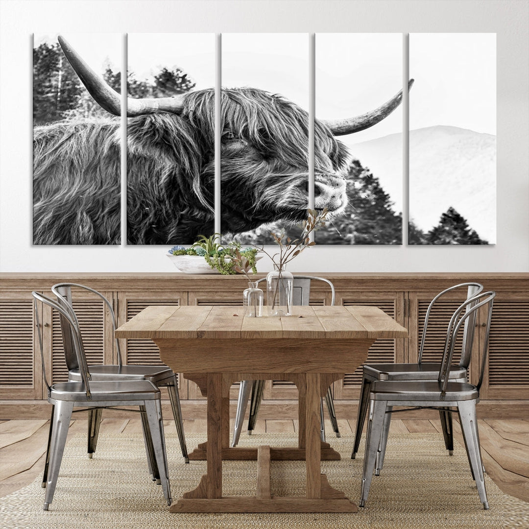 Scottish Longhorn Wall Art Canvas Print