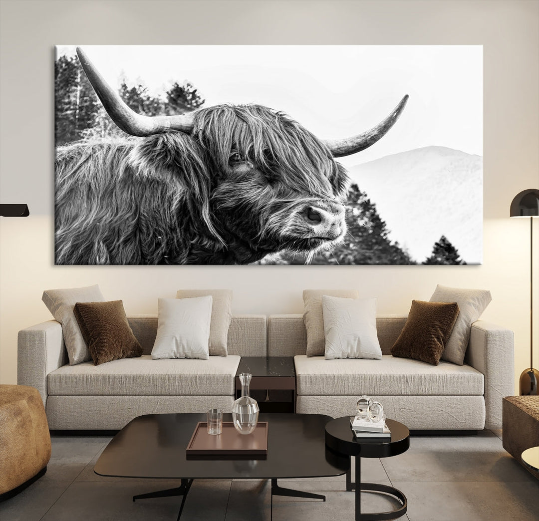 Scottish Longhorn Wall Art Canvas Print