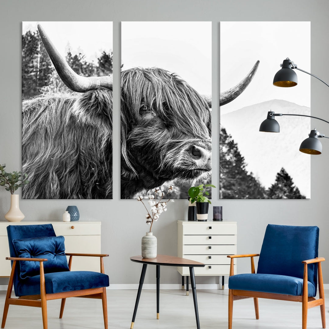 Scottish Longhorn Wall Art Canvas Print