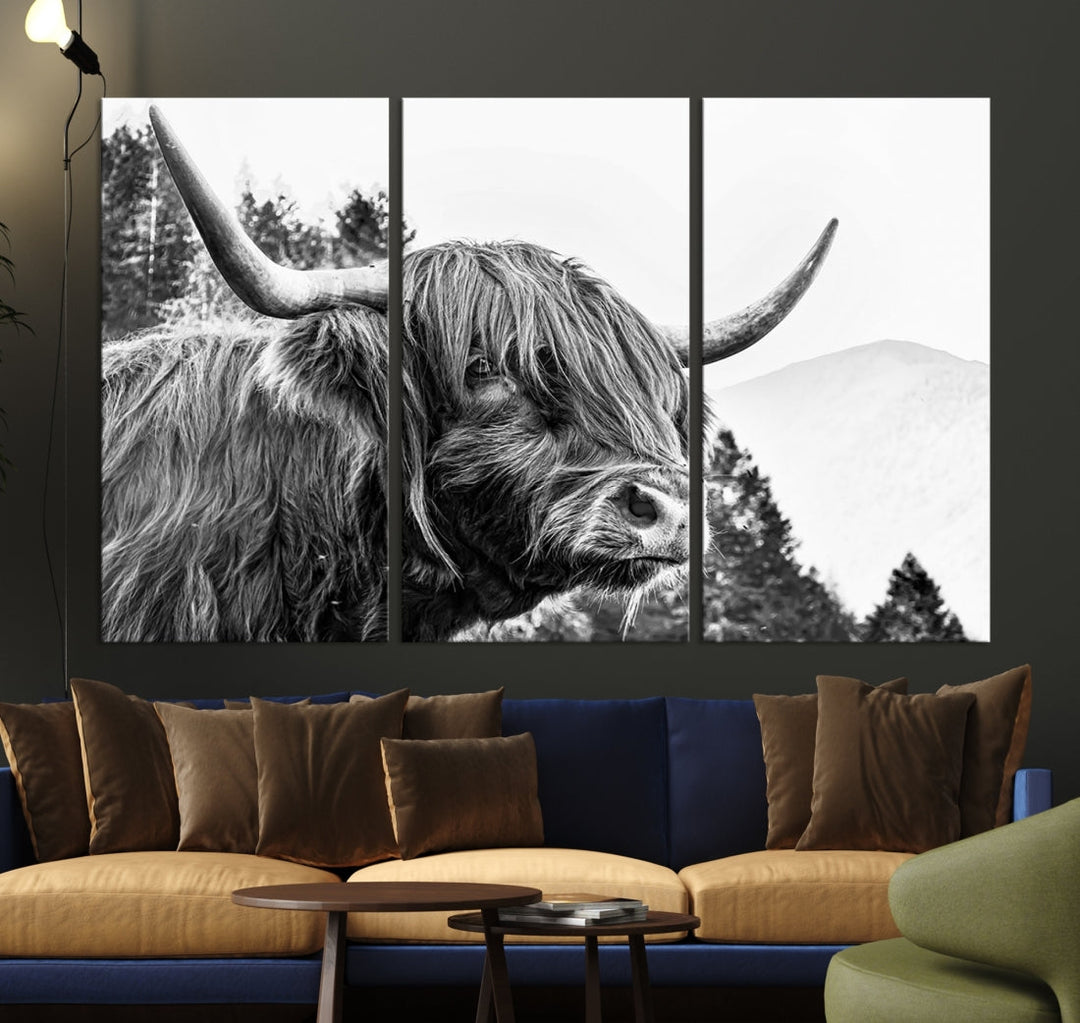 Scottish Longhorn Wall Art Canvas Print