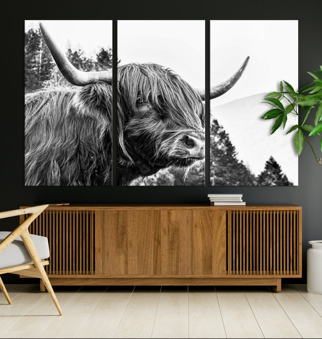 Scottish Longhorn Wall Art Canvas Print