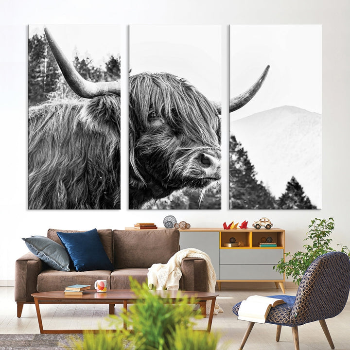 Scottish Longhorn Wall Art Canvas Print