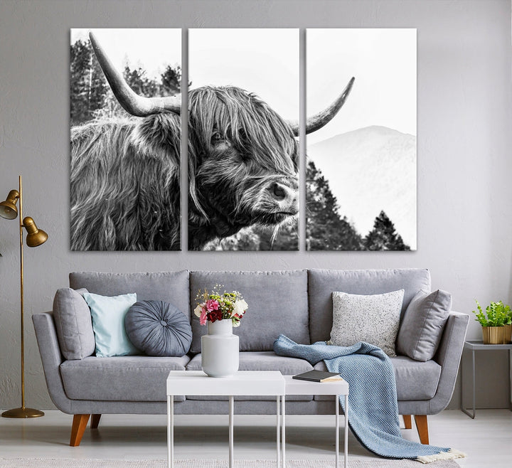 Scottish Longhorn Wall Art Canvas Print