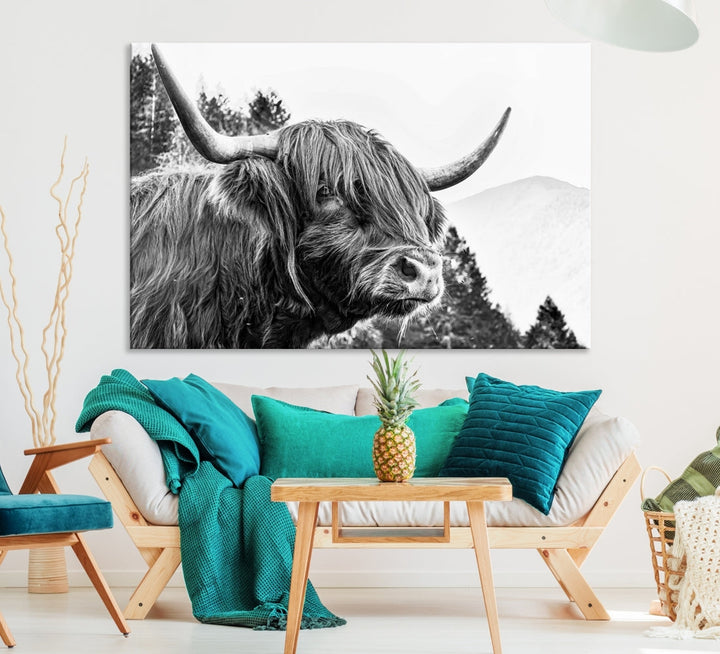 Scottish Longhorn Wall Art Canvas Print