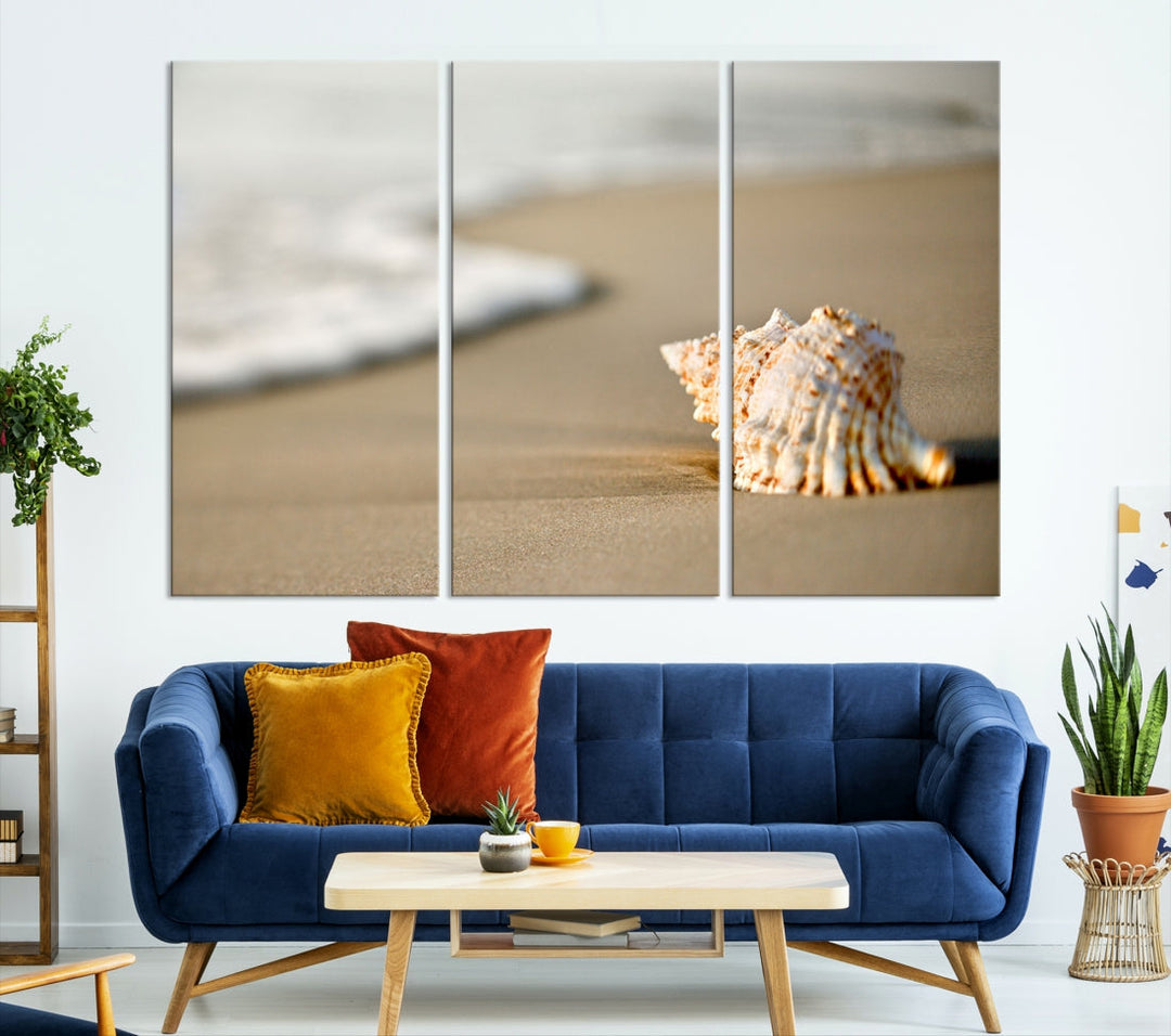 Sea Shell on the Beach Framed Canvas Wall Art Print Coastal Tropical Artwork