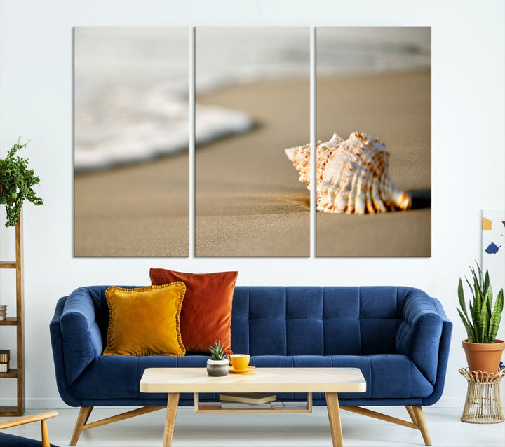 Sea Shell on the Beach Framed Canvas Wall Art Print Coastal Tropical Artwork