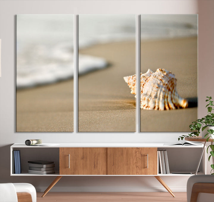 Sea Shell on the Beach Framed Canvas Wall Art Print Coastal Tropical Artwork