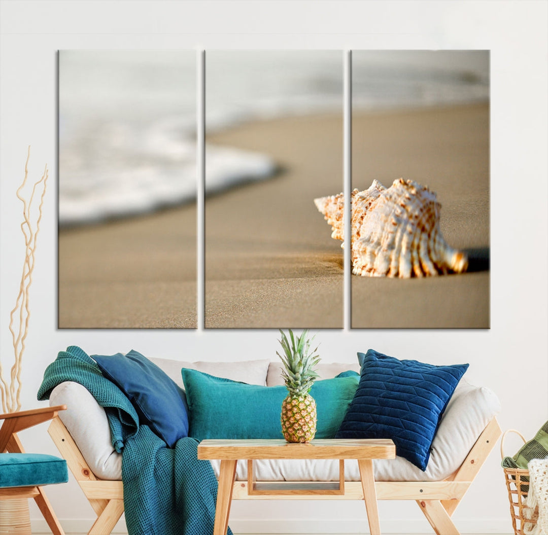 Sea Shell on the Beach Framed Canvas Wall Art Print Coastal Tropical Artwork