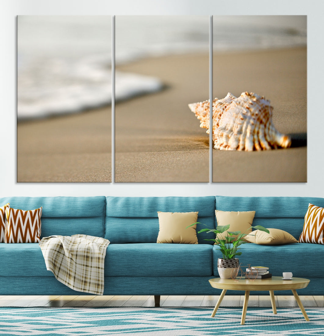 Sea Shell on the Beach Framed Canvas Wall Art Print Coastal Tropical Artwork