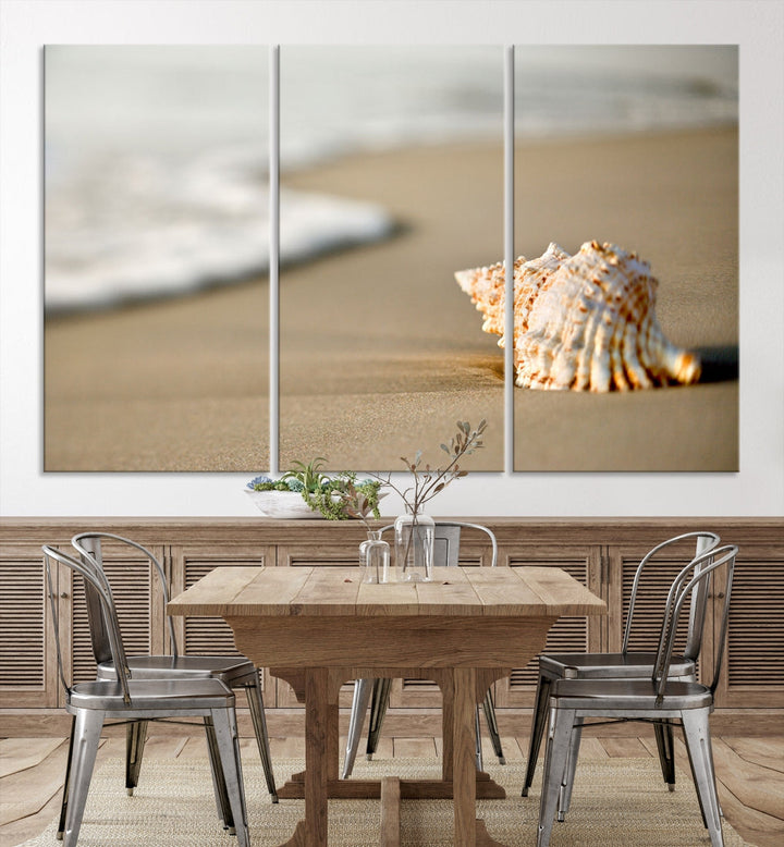 Sea Shell on the Beach Framed Canvas Wall Art Print Coastal Tropical Artwork