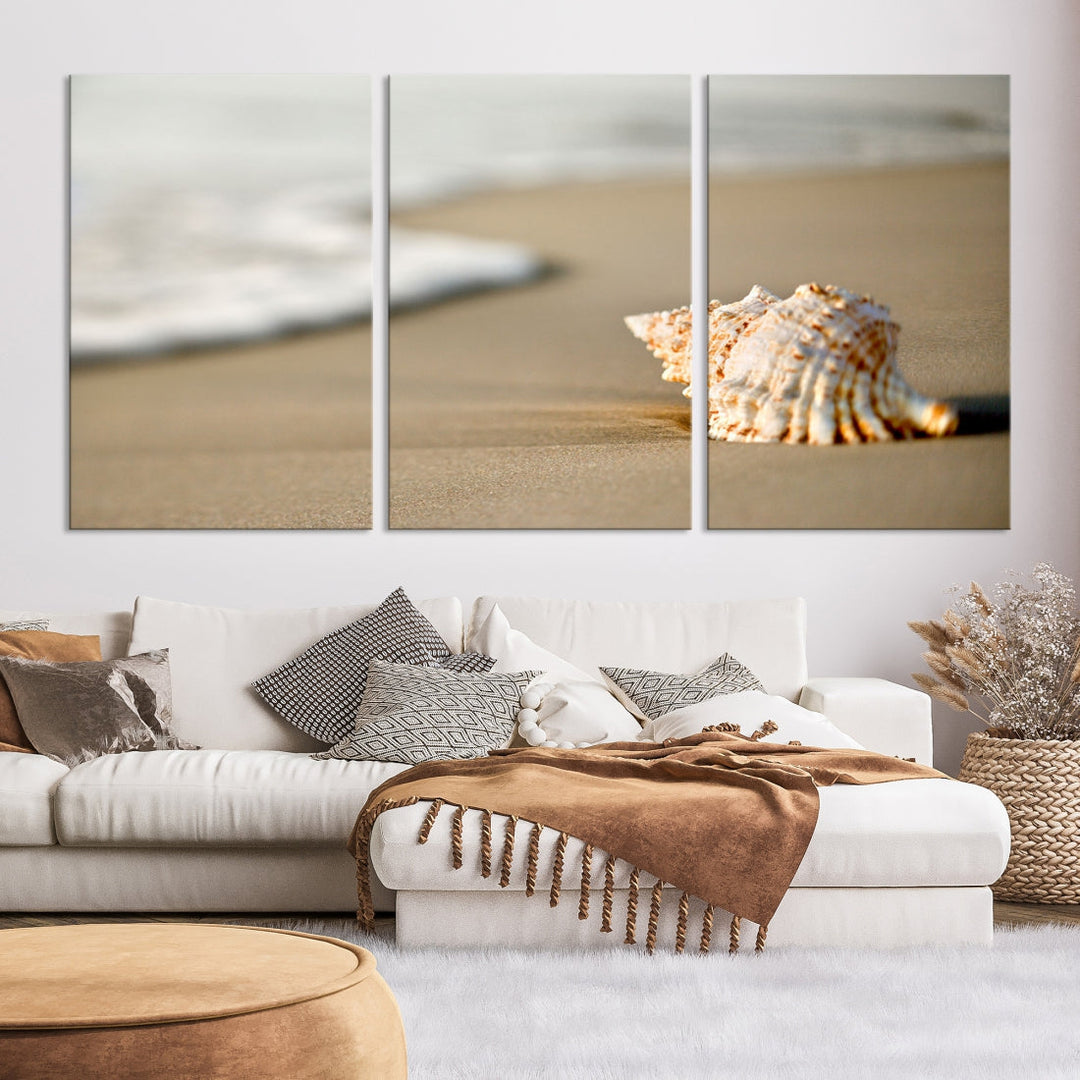 Sea Shell on the Beach Framed Canvas Wall Art Print Coastal Tropical Artwork