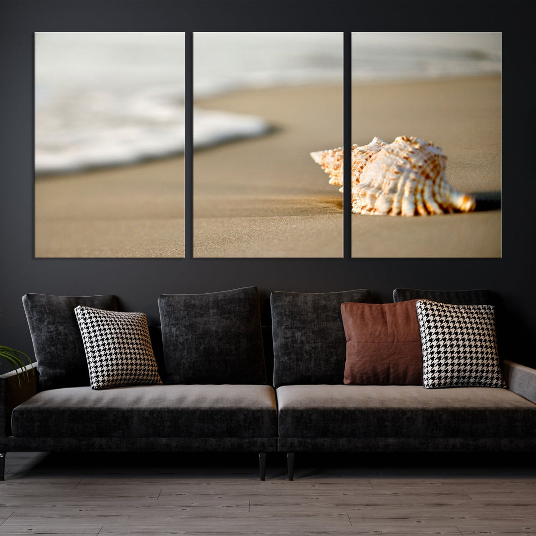 Sea Shell on the Beach Framed Canvas Wall Art Print Coastal Tropical Artwork