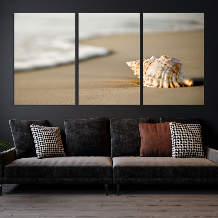 Sea Shell on the Beach Framed Canvas Wall Art Print Coastal Tropical Artwork