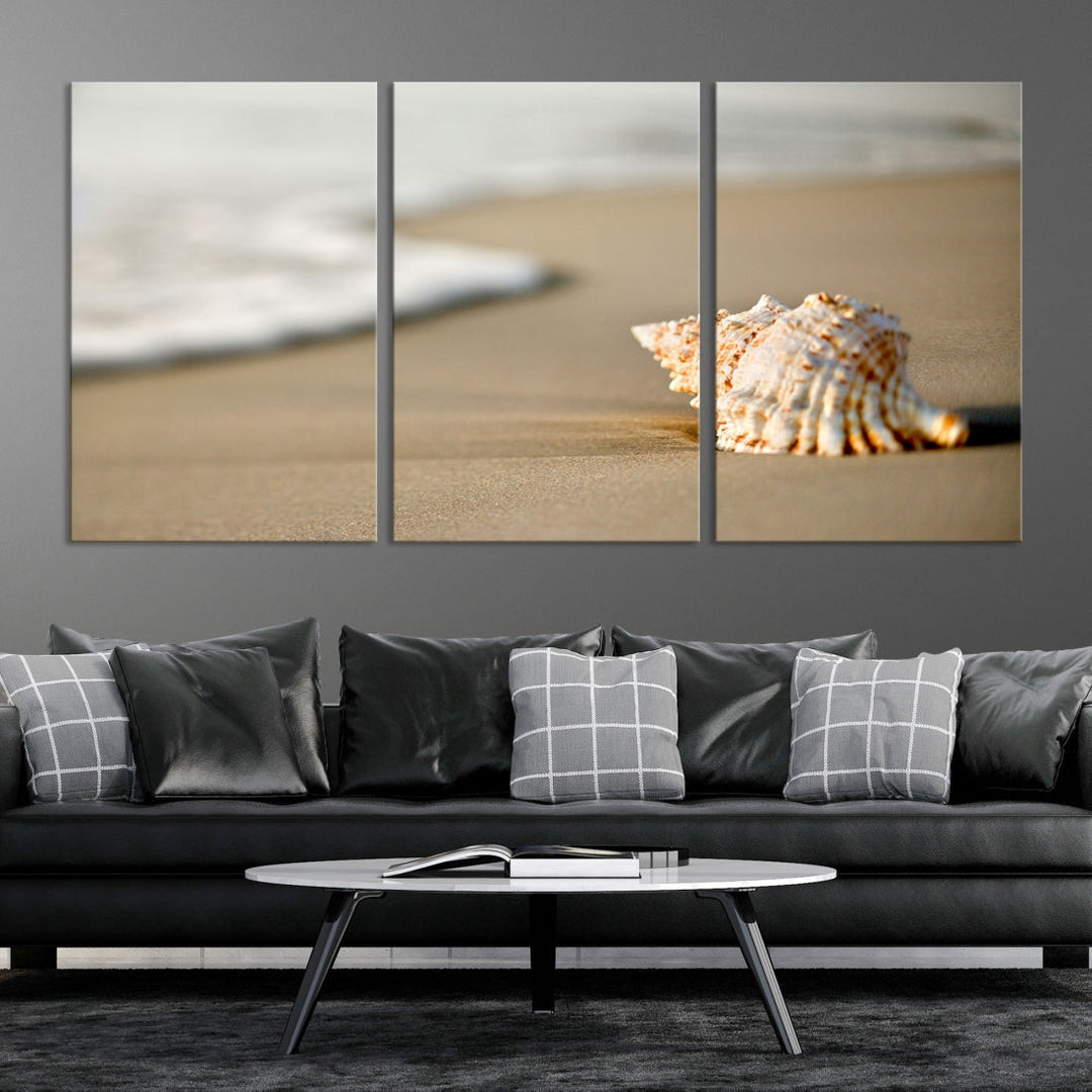 Sea Shell on the Beach Framed Canvas Wall Art Print Coastal Tropical Artwork